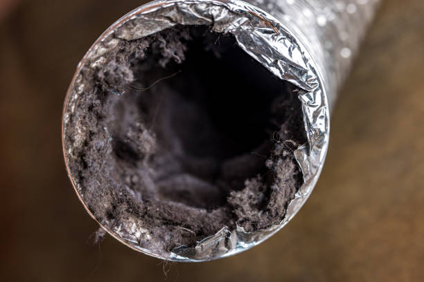 Best Dryer Vent Cleaning Services  in Calvert, TX